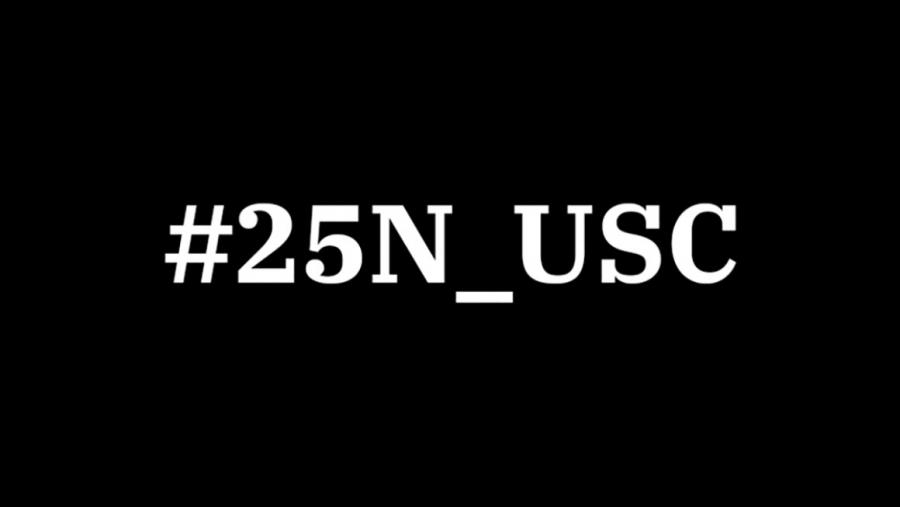 Imaxe do 25N na USC